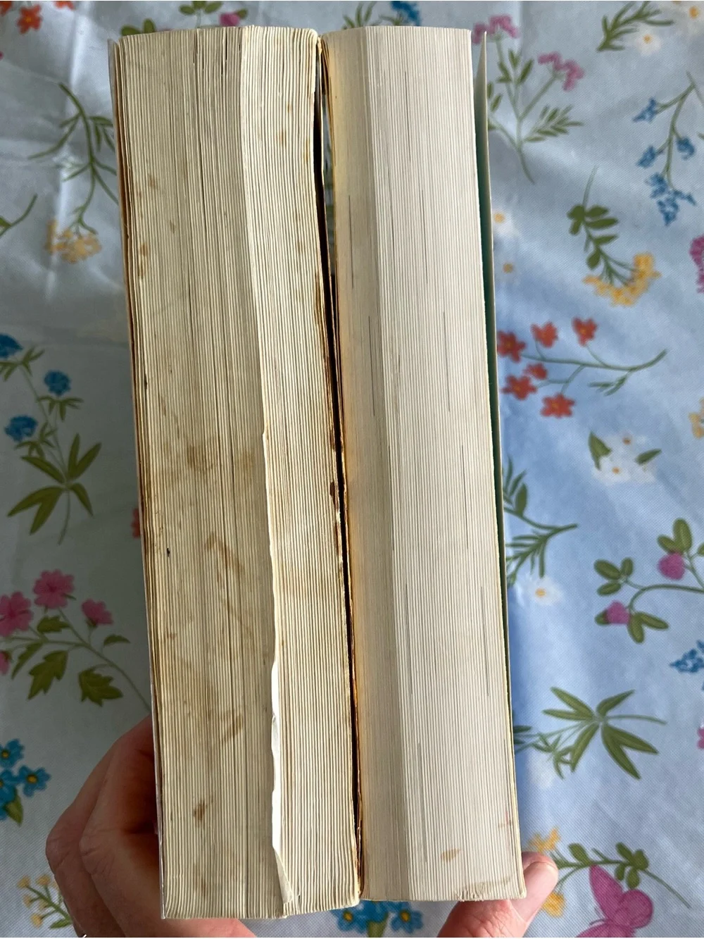 Calling All Cooks cook books 1 &3